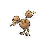 Normal coloration of Doduo (female)