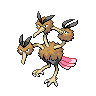 Normal coloration of Dodrio (female)