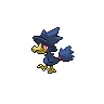Normal coloration of Murkrow (female)