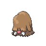 Normal coloration of Piloswine (female)