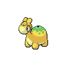 Normal coloration of Numel (female)