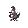 Normal coloration of Staravia (female)