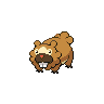 Normal coloration of Bidoof (female)