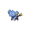 Normal coloration of Shinx (female)
