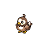 Shiny version of Starly (female)