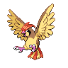 Normal coloration of Pidgeotto