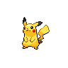 Normal coloration of Pikachu (male)