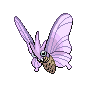 Normal coloration of Venomoth