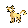 Normal coloration of Persian
