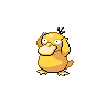 Normal coloration of Psyduck