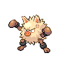 Normal coloration of Primeape