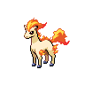 Normal coloration of Ponyta
