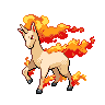 Normal coloration of Rapidash