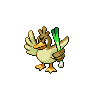 Normal coloration of Farfetch’d