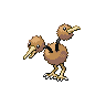 Normal coloration of Doduo (male)