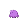 Normal coloration of Ditto
