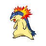 Normal coloration of Typhlosion