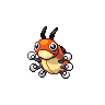 Normal coloration of Ledyba (male)