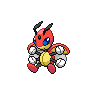 Normal coloration of Ledian (male)