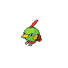 Normal coloration of Natu