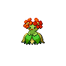 Normal coloration of Bellossom