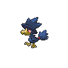 Normal coloration of Murkrow (male)