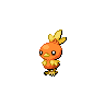 Normal coloration of Torchic (male)
