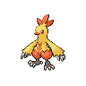 Normal coloration of Combusken (male)
