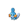 Normal coloration of Mudkip