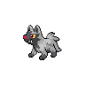 Normal coloration of Poochyena