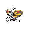 Normal coloration of Beautifly (male)