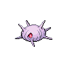 Normal coloration of Cascoon
