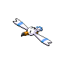 Normal coloration of Wingull