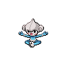 Normal coloration of Meditite (male)