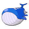 Normal coloration of Wailord
