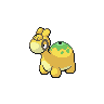 Normal coloration of Numel (male)