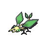 Normal coloration of Vibrava