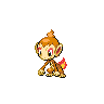 Normal coloration of Chimchar