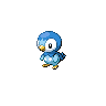 Normal coloration of Piplup