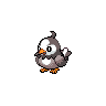 Normal coloration of Starly (male)
