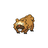 Normal coloration of Bidoof (male)