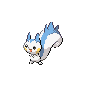 Normal coloration of Pachirisu (male)