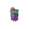 Normal coloration of Cherrim