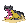 Normal coloration of Hippowdon (male)