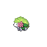 Normal coloration of Shaymin