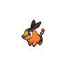 Normal coloration of Tepig