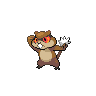 Normal coloration of Patrat