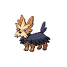 Normal coloration of Herdier