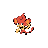 Normal coloration of Pansear
