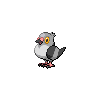 Normal coloration of Pidove